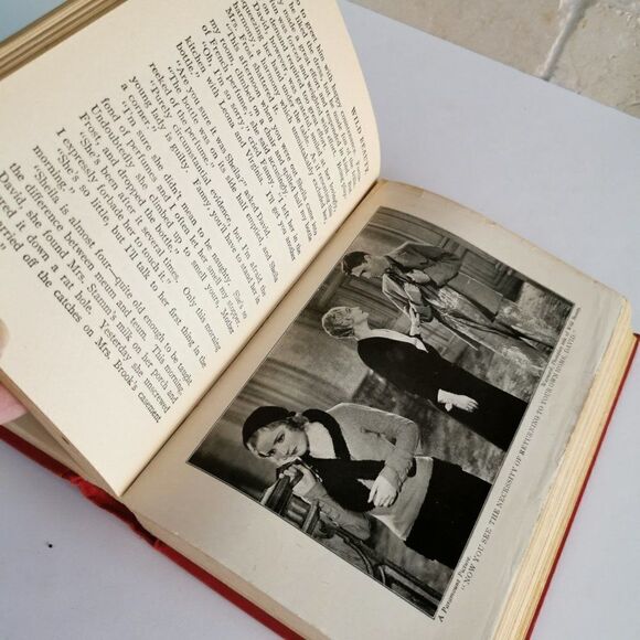 1930 Wayward Book Farnham Movie Title Wild Beauty Pre-Code Paramount Red Book - Picture 9 of 11